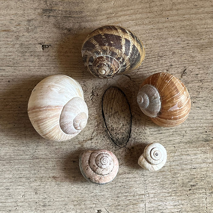 beratung mehrere personen